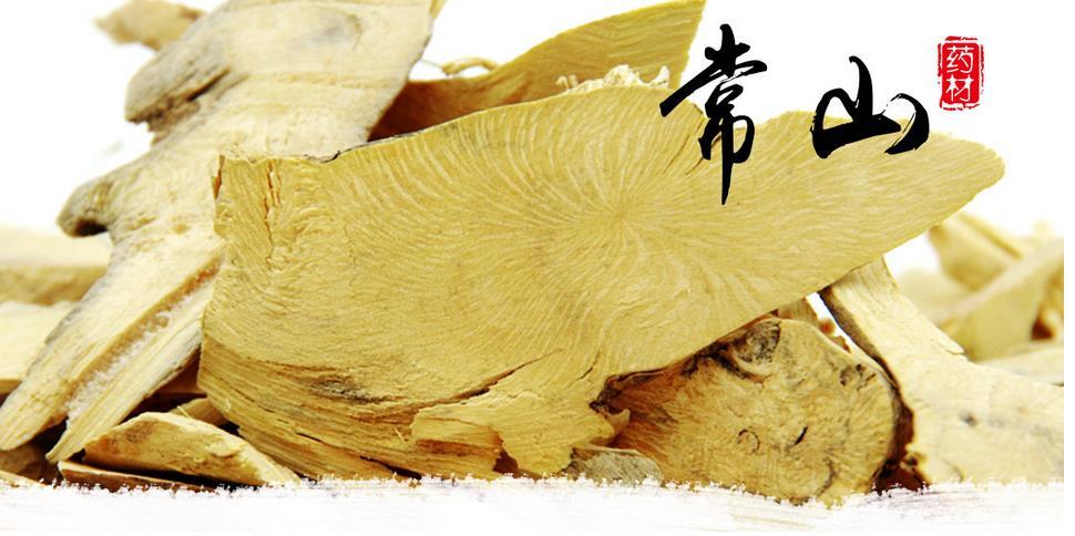 什么是常山？详解中药材常山