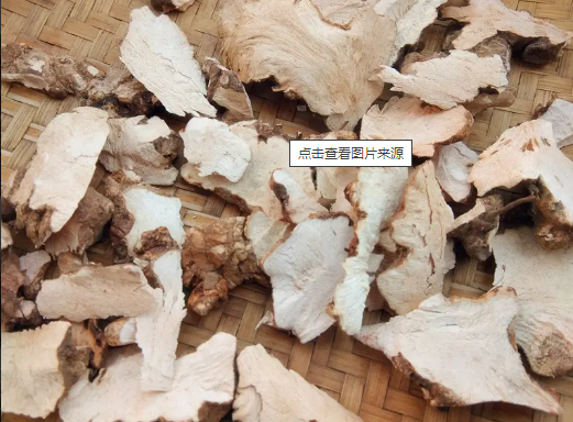 野生土茯苓是什么样子？
