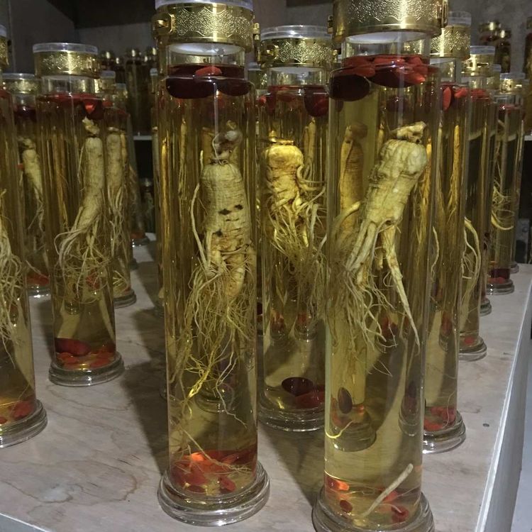 人参泡水喝能壮阳吗