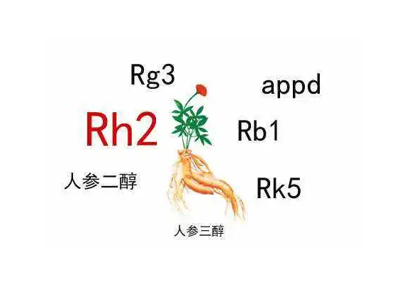 人参皂苷骗局