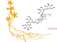 人参皂苷骗局