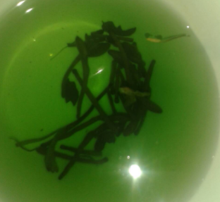 金银花的花朵为什么会变色
