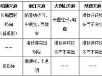 丽江天麻和昭通天麻哪个好