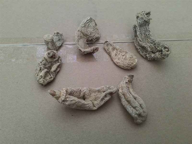 干天麻怎么保存不长虫