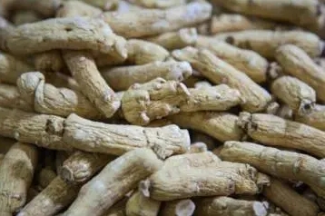 整个的西洋参能放多久