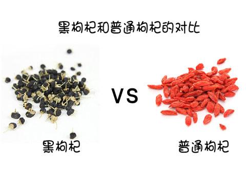 黑枸杞和红枸杞的区别