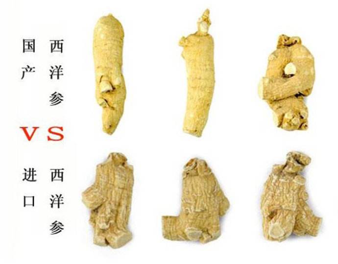 西洋参的产地鉴别方法