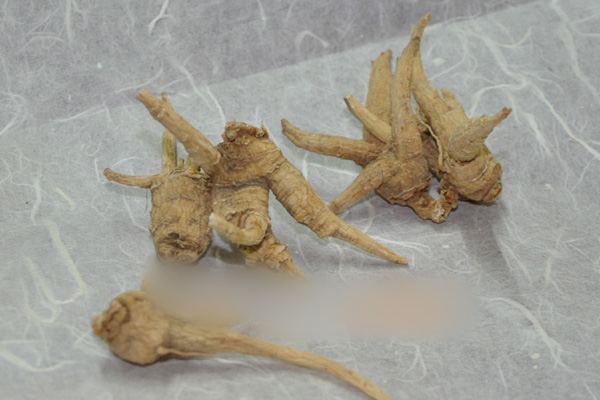 西洋参的产地鉴别方法