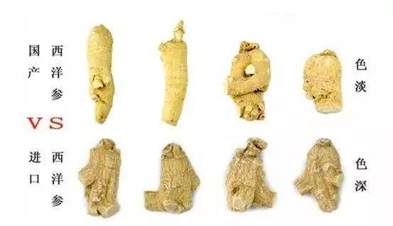 怎么判断西洋参的品质？