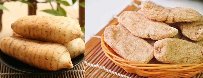 干天麻和鲜天麻该怎么挑选购买？