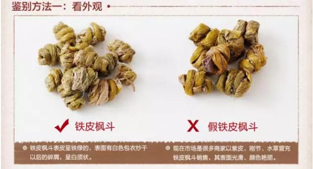 石斛怎么鉴别真假？教你从4个方面区分