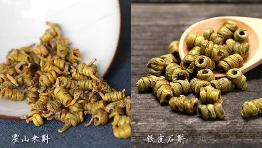 霍山石斛和铁皮石斛的区别在哪里
