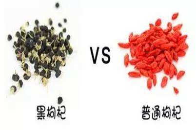 黑枸杞与红枸杞有哪些区别？哪个好？