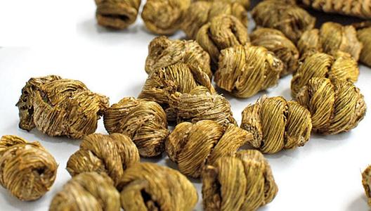 如何挑选铁皮石斛？怎样鉴别石斛真假？