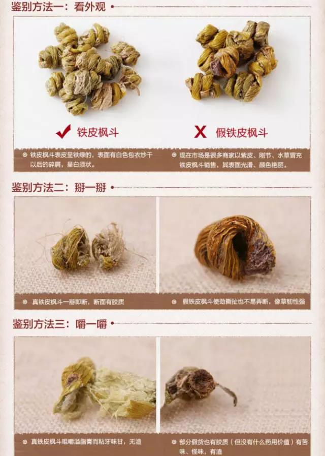 如何挑选铁皮石斛？怎样鉴别石斛真假？