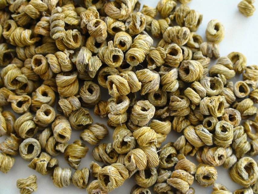 如何挑选铁皮石斛？怎样鉴别石斛真假？