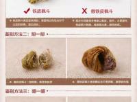 铁皮石斛真假鉴别图解