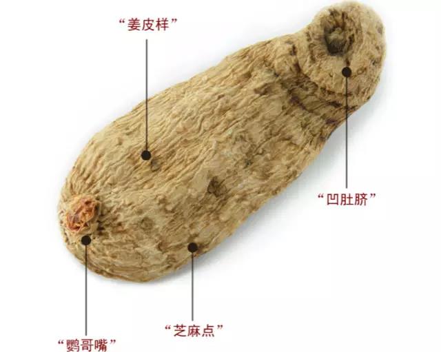 如何辨别真假天麻？真天麻有8大特征