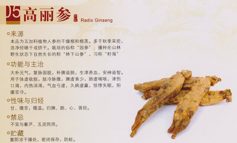 红参和高丽参的区别