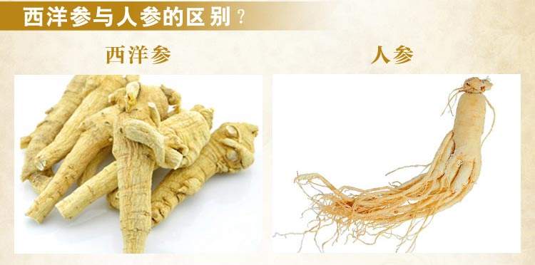 西洋参跟人参的区别在哪里？