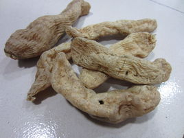 野天麻和普通天麻如何辨别