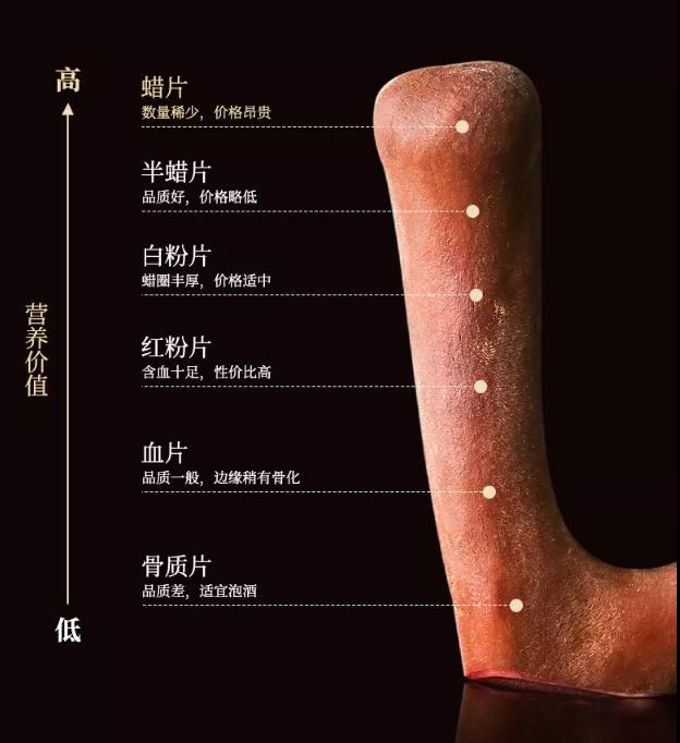 鹿茸的挑选方法图解