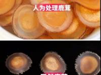 鹿茸的挑选方法图解