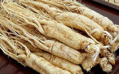 鲜人参好还是干人参好？