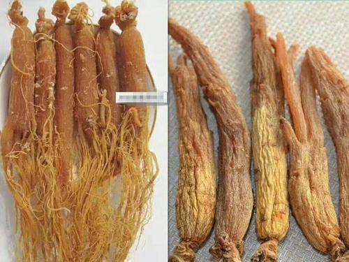 红参含糖不含糖的区别