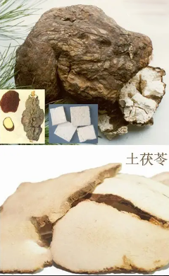 土茯苓和茯苓的区别图片