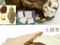 土茯苓和茯苓的区别