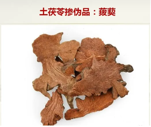 真伪土茯苓鉴别图片