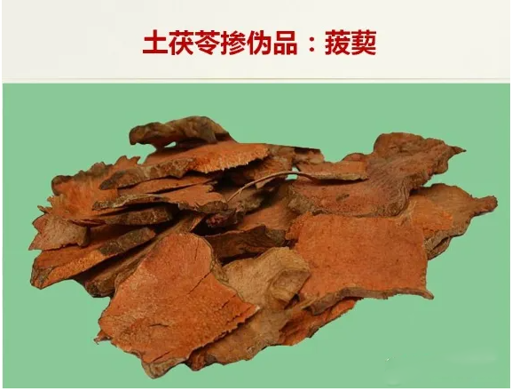 真伪土茯苓鉴别图片