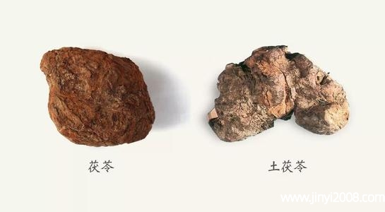 土茯苓和茯苓的区别