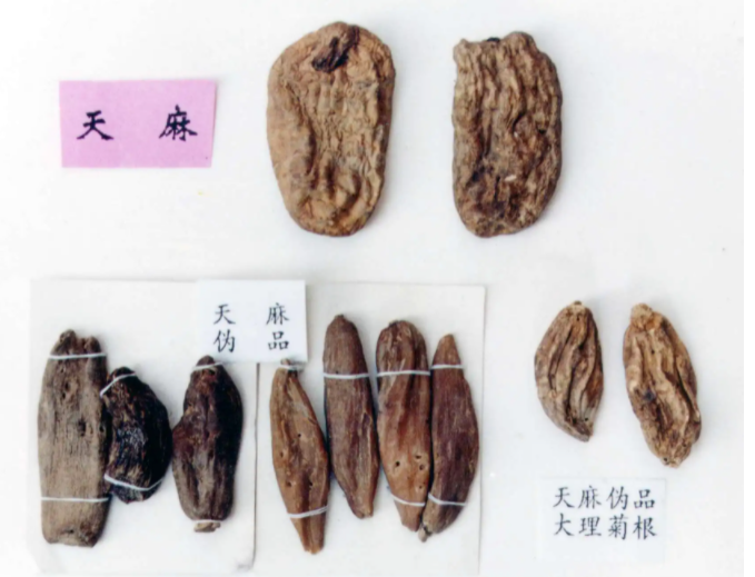 假天麻用什么冒充