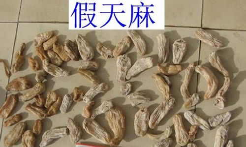 假天麻用什么冒充