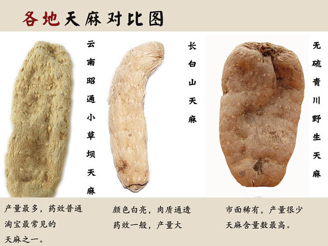 假天麻用什么冒充