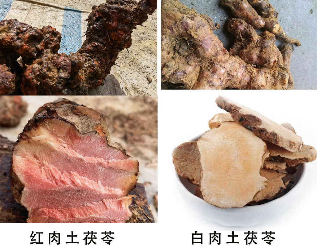 土茯苓白色的好还是红色的好