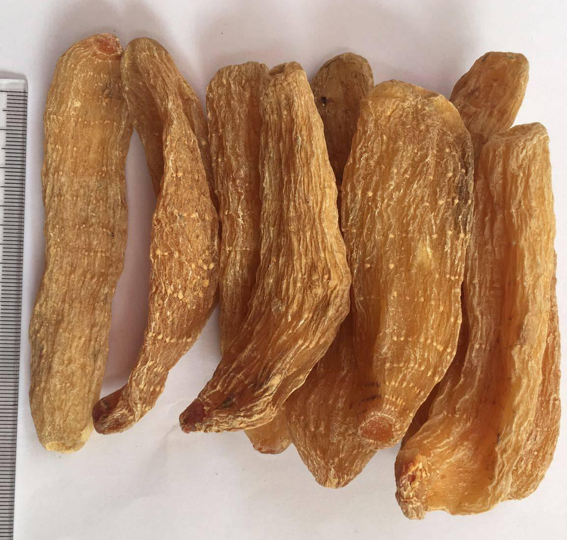 丽江天麻和昭通天麻的区别