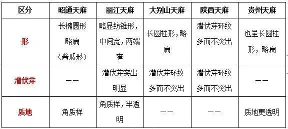 丽江天麻和昭通天麻的区别
