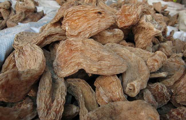 血天麻和乌天麻哪个好？乌天麻品质最好