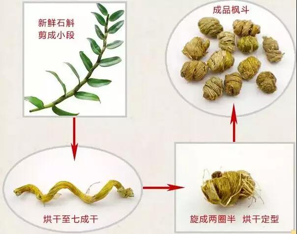 西枫斗和铁皮石斛一样吗