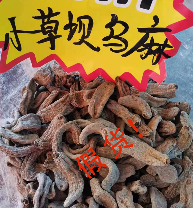 小草坝天麻的特点：短、胖