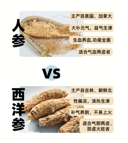 花旗参和人参的区别