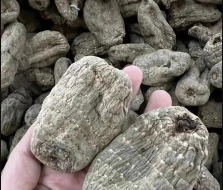 昭通乌天麻的三个品种及特点