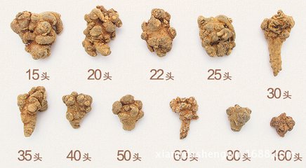 三七大小药效有区别吗？三七头数多好还是少好？