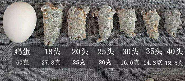 三七头数怎么算？多好还是少好？