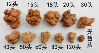 文山三七头数分类图解