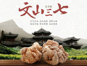 文山三七的特点