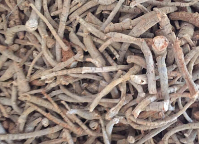 三七根什么样子？图解三七根各部分模样